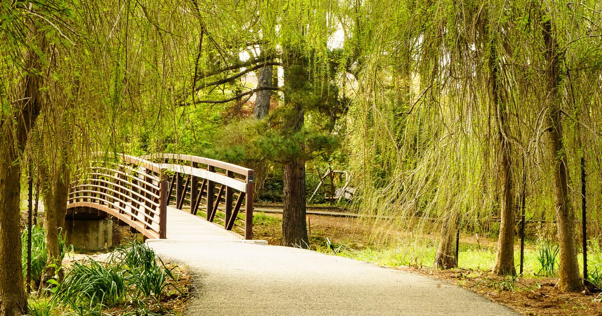 Tours & Trails - Visit Nacogdoches